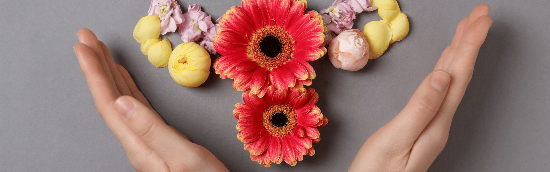 hands and flowers showing ovulary