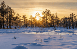 winter